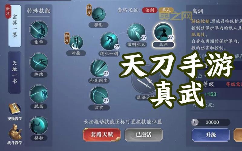 天涯明月刀真武连招解析：秘籍搭配、技能衔接技巧