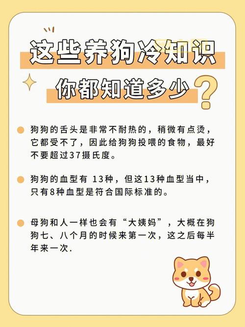 热血海贼王隐藏成就，这些冷知识你都知道吗？
