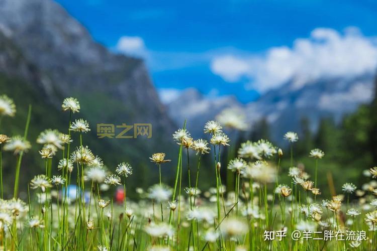 斗战神混沌模式：开启全新挑战，体验极致战斗！