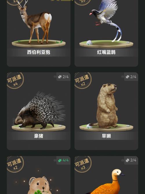 召唤神龙：3D萌宠，动作养成，一起战斗！