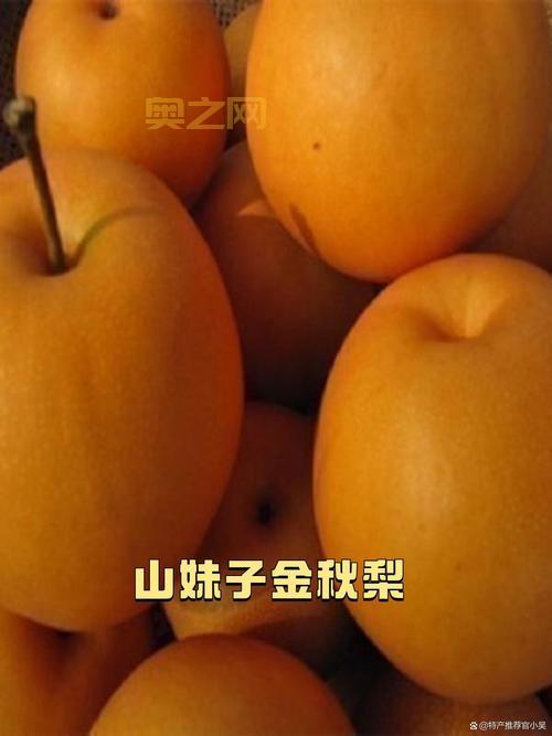 晶核官网情报站：最新资讯、活动、攻略一网打尽！