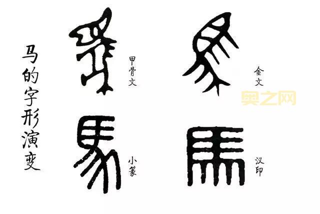 了解“妹”字：从甲骨文到现代的亲情与文化表达