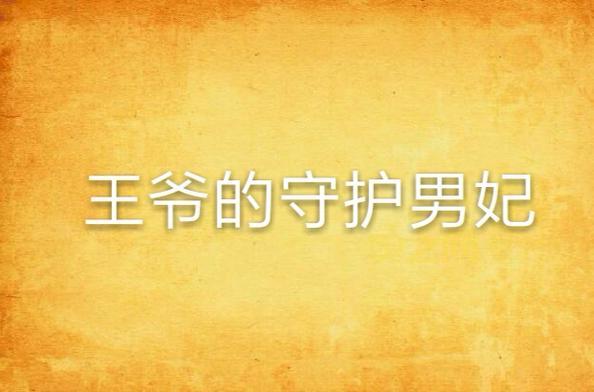 当男妃遇上冷面王爷：守护与爱情的博弈