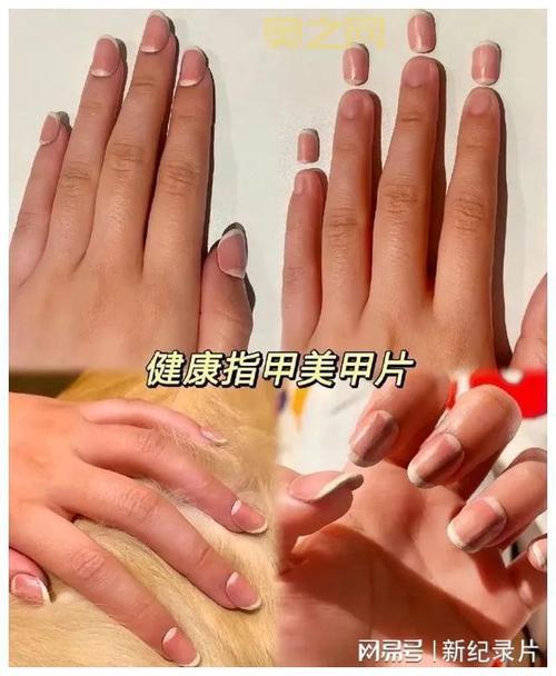 疯狂明星脸答案大全：最新攻略与解答