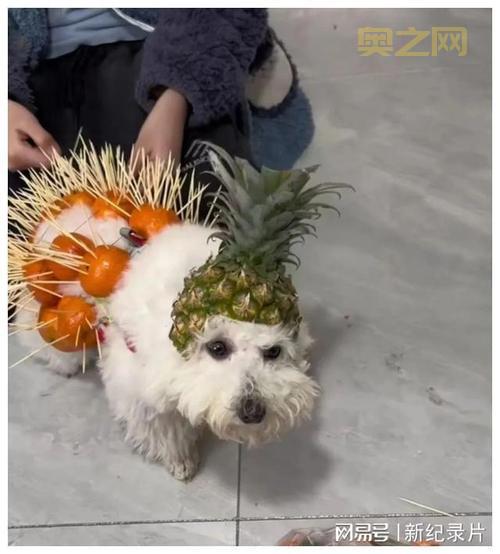 疯狂明星脸答案大全：最新攻略与解答