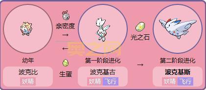 还在纠结波克比怎么进化啊？看完这篇你就懂了！