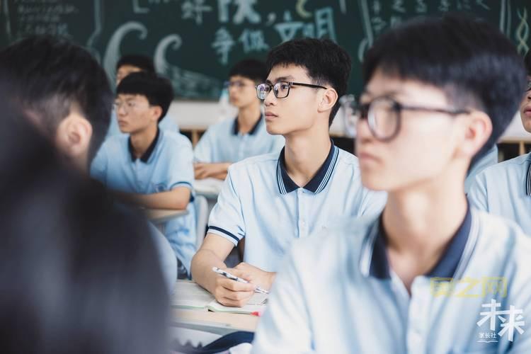 诛仙忠义值获取方法解析：任务与捐献奇珍全面指南