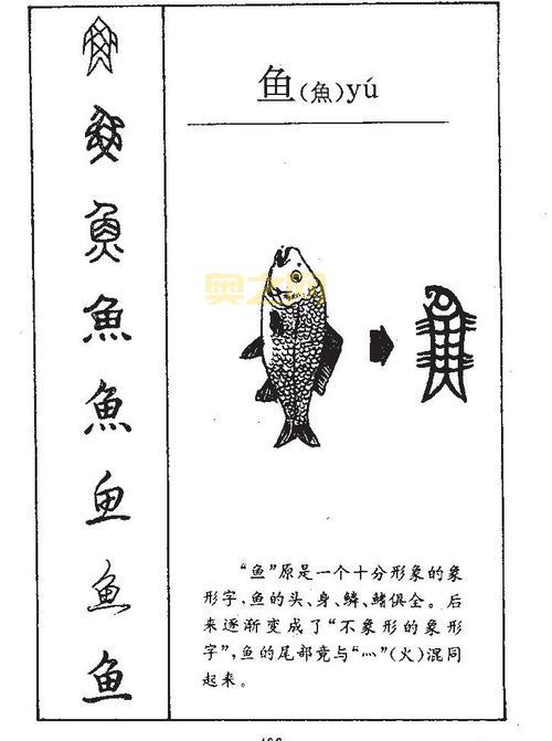 网字的含义与应用：从渔网到互联网全解析