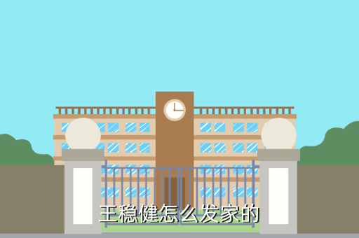 王稳健怎么发家的
