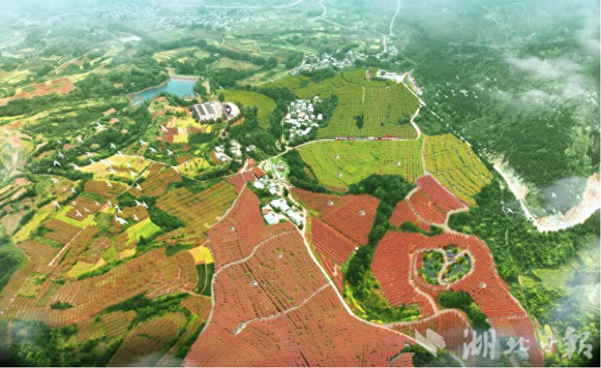 郧阳区刘洞镇：统筹四类要素 建景区型村庄