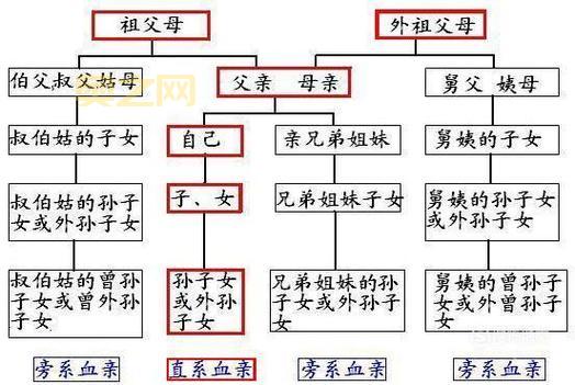 如何制作和购买CF队徽？详细步骤与技巧解析