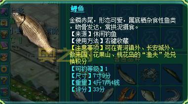 新手必看！神武钓鱼技巧分享及最佳钓鱼地点推荐