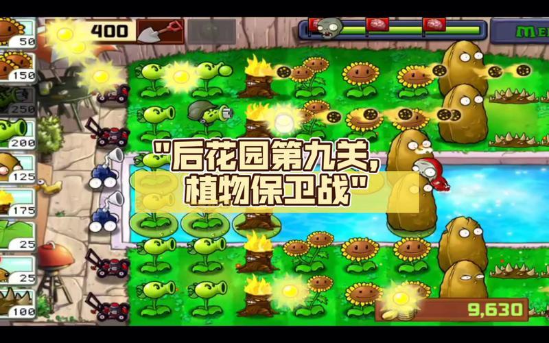 植物保卫战下载安装包分享，附带详细安装教程！