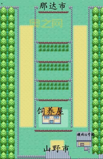 口袋妖怪叶绿攻略：从新手到大师的全面攻略