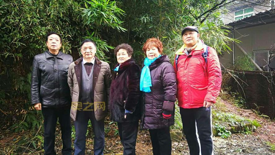 微群是什么？了解微群的功能与优势