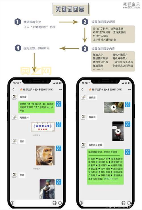 微群是什么？了解微群的功能与优势