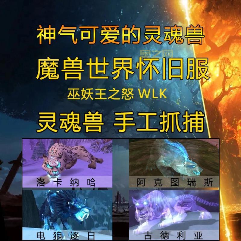 灵魂兽插件怎么用？新手一看就会的抓捕教程！