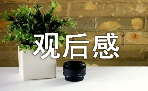 3月27日湖南卫视新闻大求真观后感
