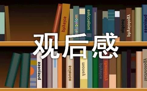 新闻大求真观后感400字