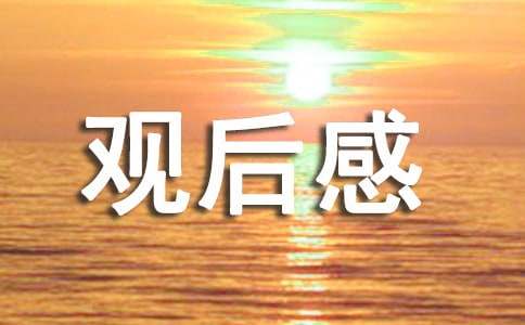 《新闻大求真》观后感15篇