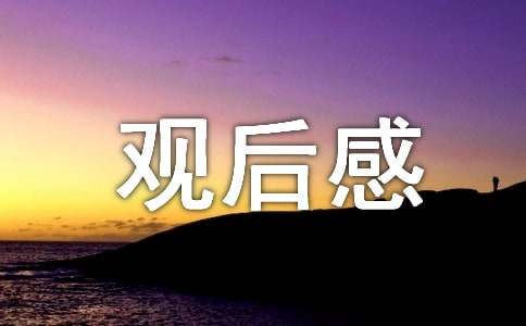 新闻大求真观后感