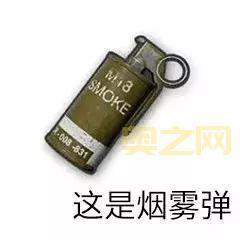盗贼烟雾弹