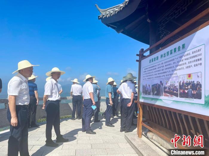 （人民幸福生活）党建引领+特色产业 福建寿宁绘就村美民富幸福画卷