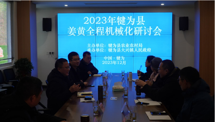 粮油姜间套轮作模式_犍为姜黄产业融合_乐山 犍为 新闻