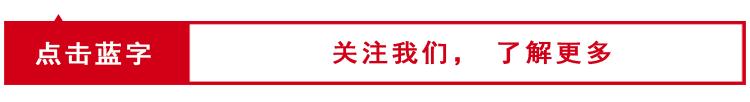 “狗咬人”事件当事人被撤职，多名干部被问责