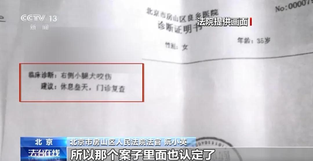 电梯宠物狗咬伤索赔_新闻：狗咬人_宠物狗咬人被踢反索赔
