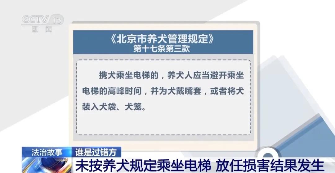 宠物狗咬人被踢反索赔_电梯宠物狗咬伤索赔_新闻：狗咬人