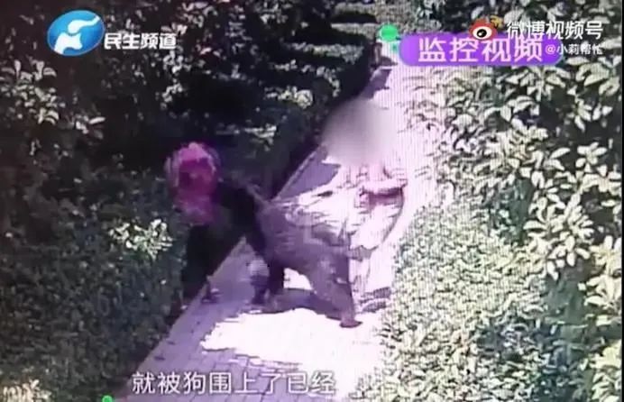 “狗咬人”事件当事人被撤职，多名干部被问责！安阳：深刻反思