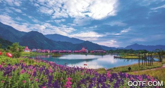 邻水发布app官方版