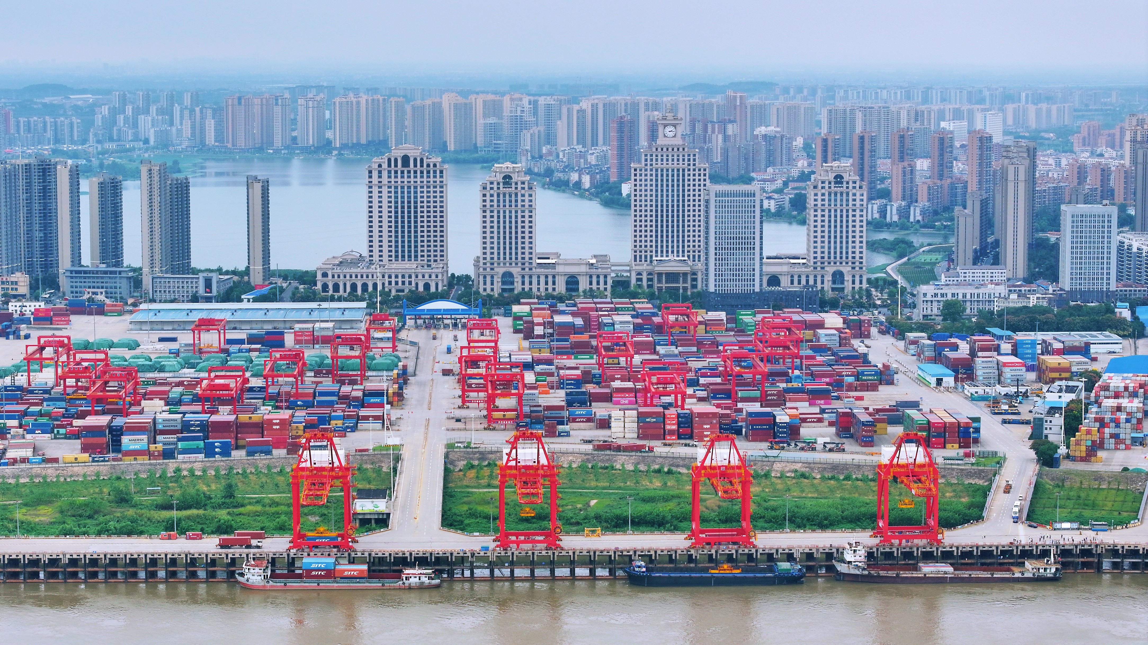 全国重点新闻网总编辑探访长江新区，看阳逻港“通江达海”打造中西部最佳“出海口”
