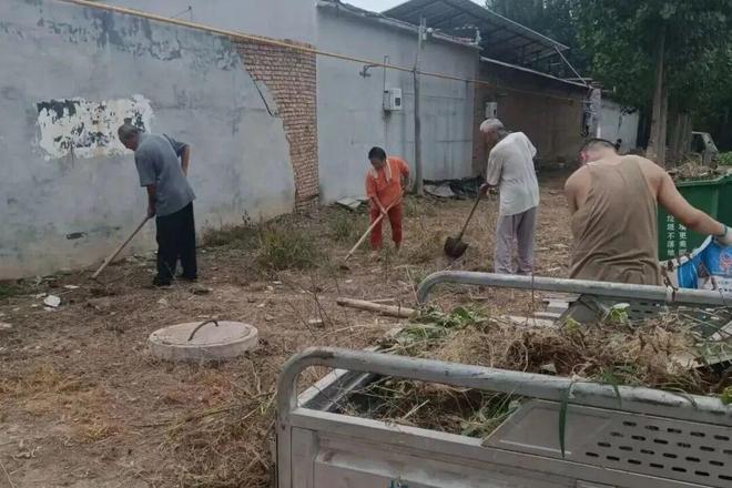阜城漫河新闻_党建引领乡村振兴环境提升_阜城县漫河镇人居环境整治行动