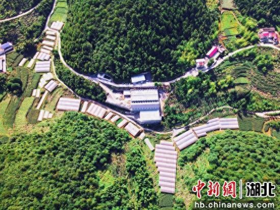 硒土为墨 田埂为尺 湖北宣恩深化耕地保护改革