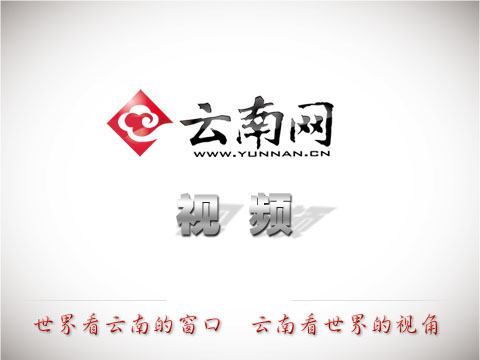 【新思想引领新征程·非凡“十四五”】我国高水平对外开放新格局加速形成