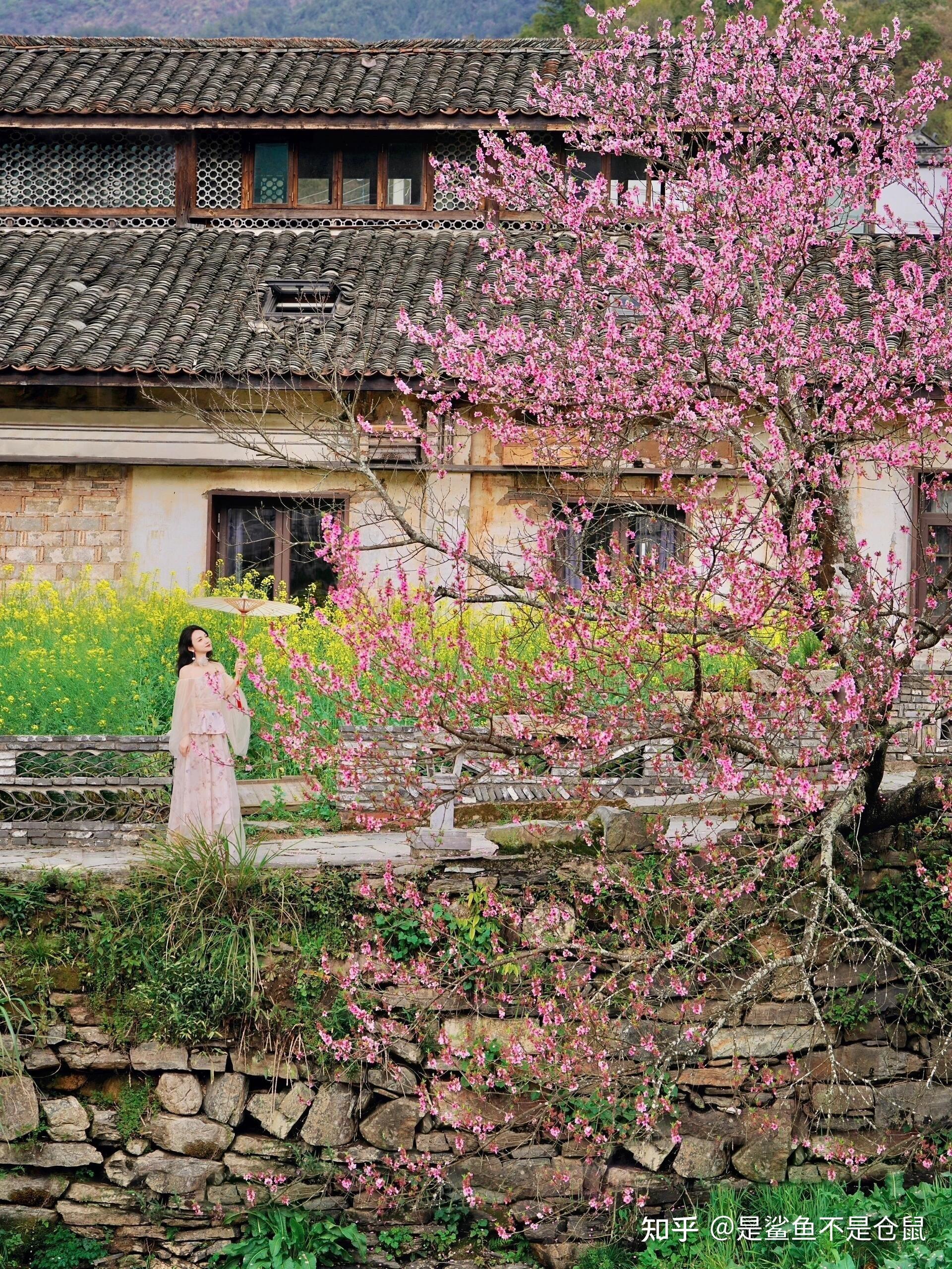 江西旅游攻略_江西永丰上溪新闻_江西必去景点推荐