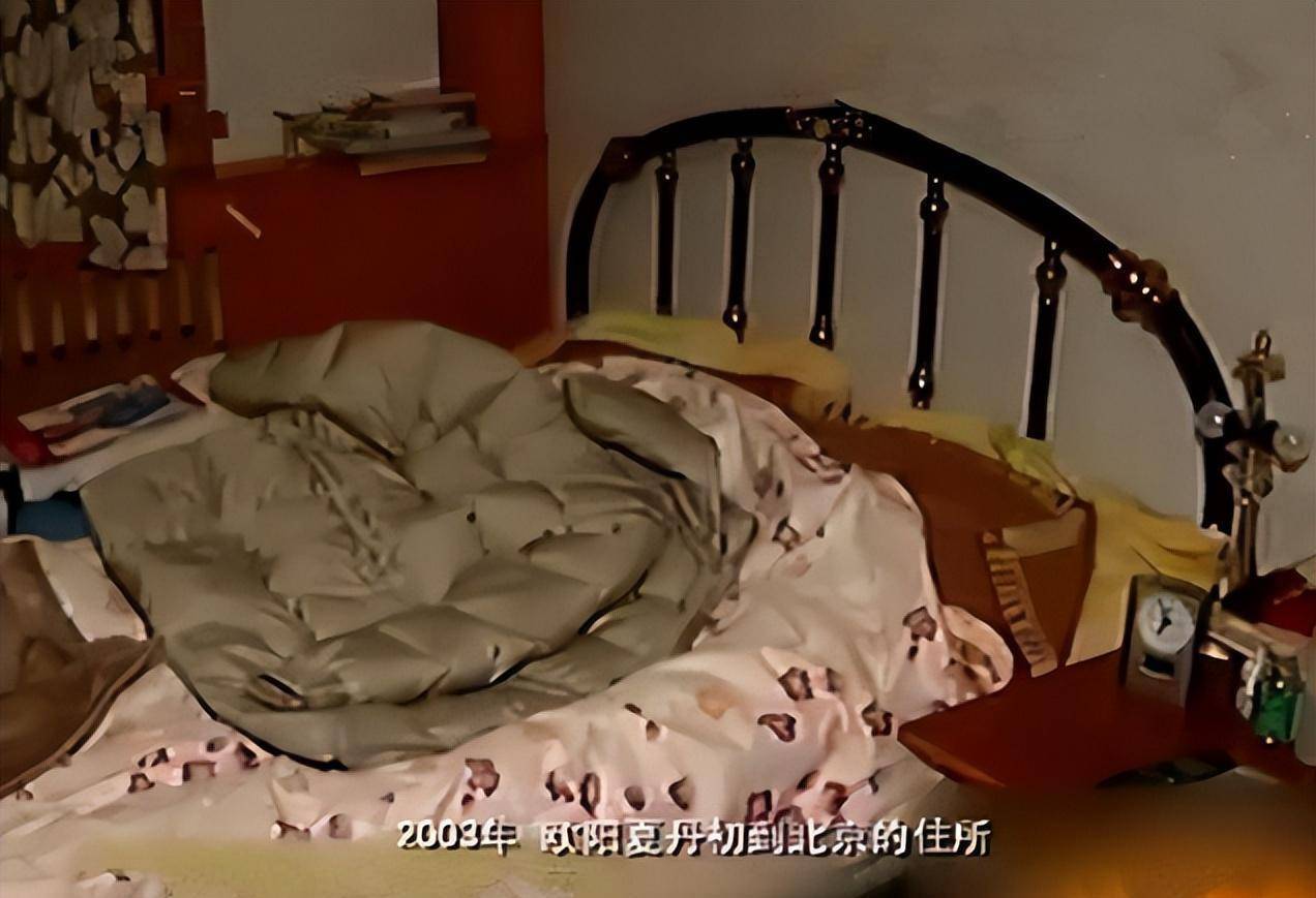 欧阳夏丹 新闻联播 消失原因_欧阳夏丹+新闻联播