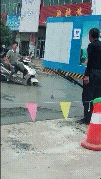 搞笑的生活场景_搞笑新闻动态图片_可爱宠物的有趣瞬间