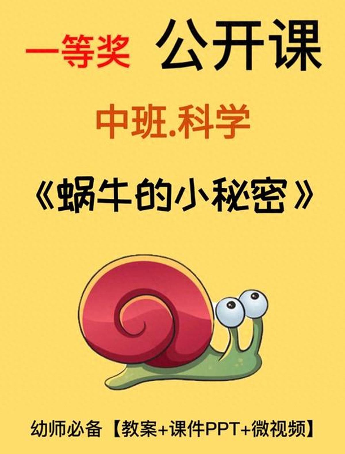 幼儿园趣味之旅：寓教于乐探索世界