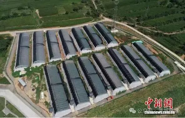 【央媒聚焦】山西长治潞城区：“三色”经济并进 乡村富民“加速跑”