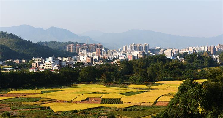 连平县旅游攻略_连平县油溪镇新闻_连平县生态县介绍