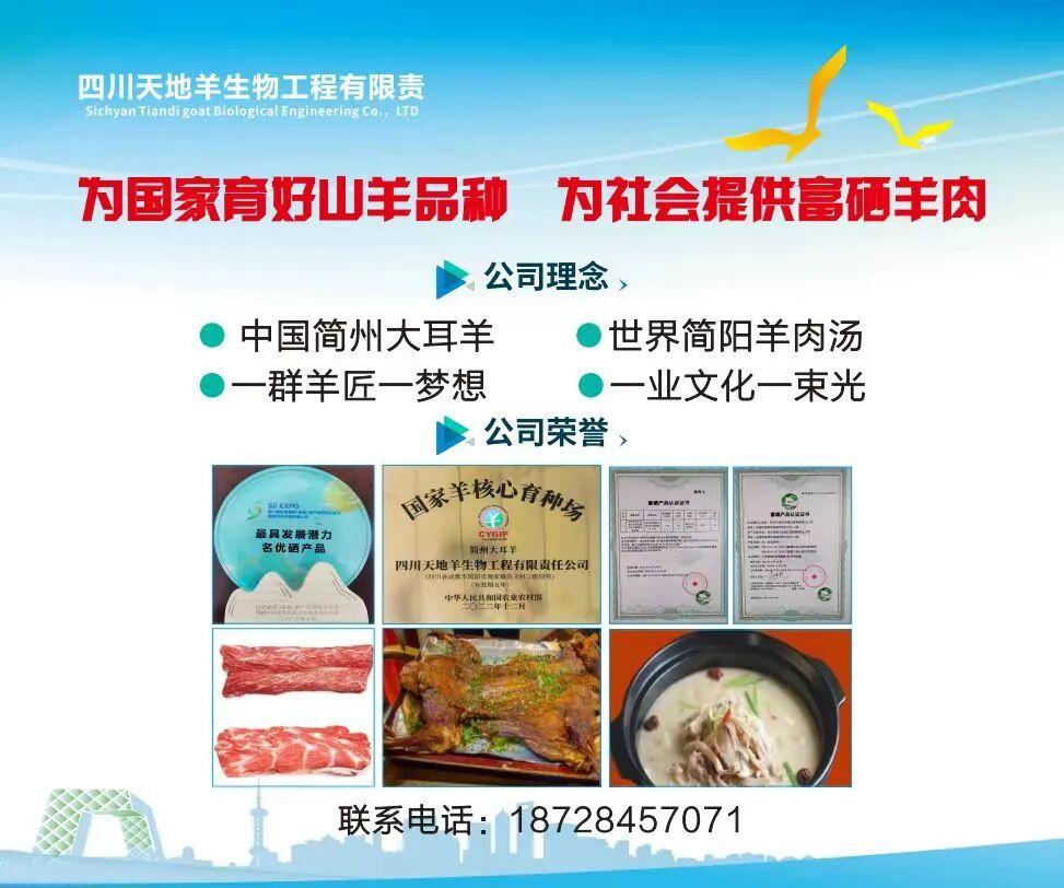 图片18.png