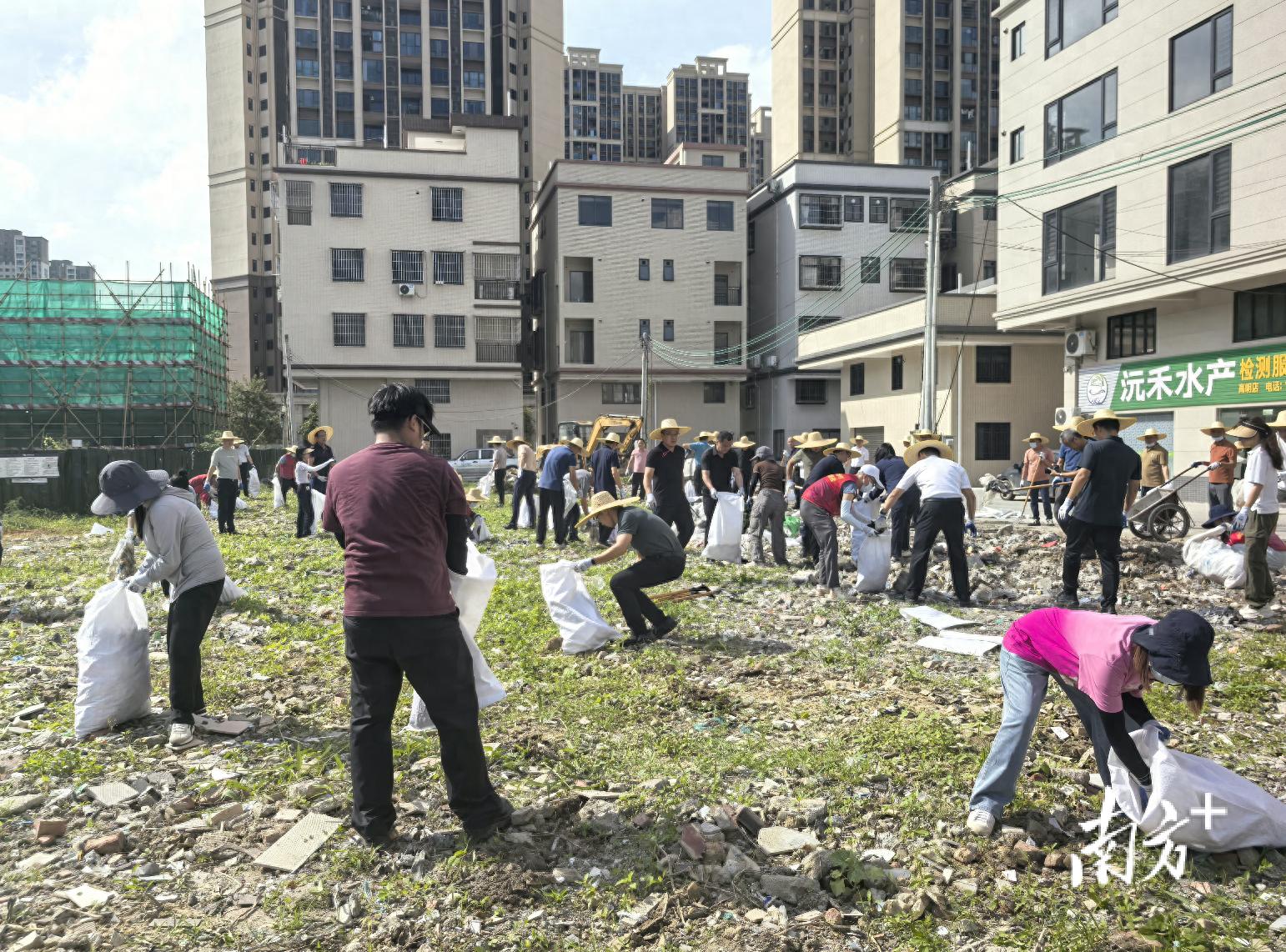 佛山市高明区爱国卫生运动_佛山市高明区工业园区人居环境整治提升_佛山市高明新闻