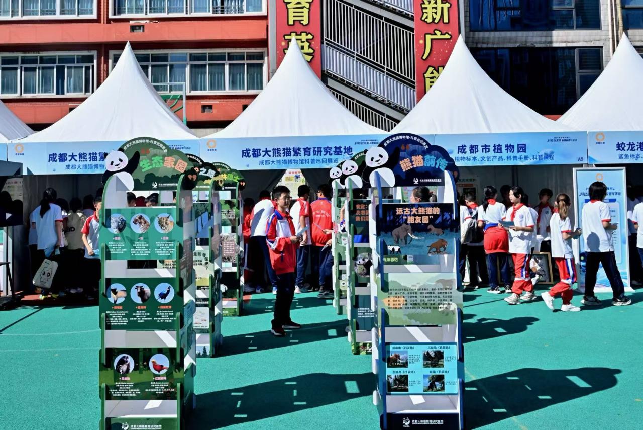 科技创未来科普校园行_2025科普信息化建设_智能机器人科普活动