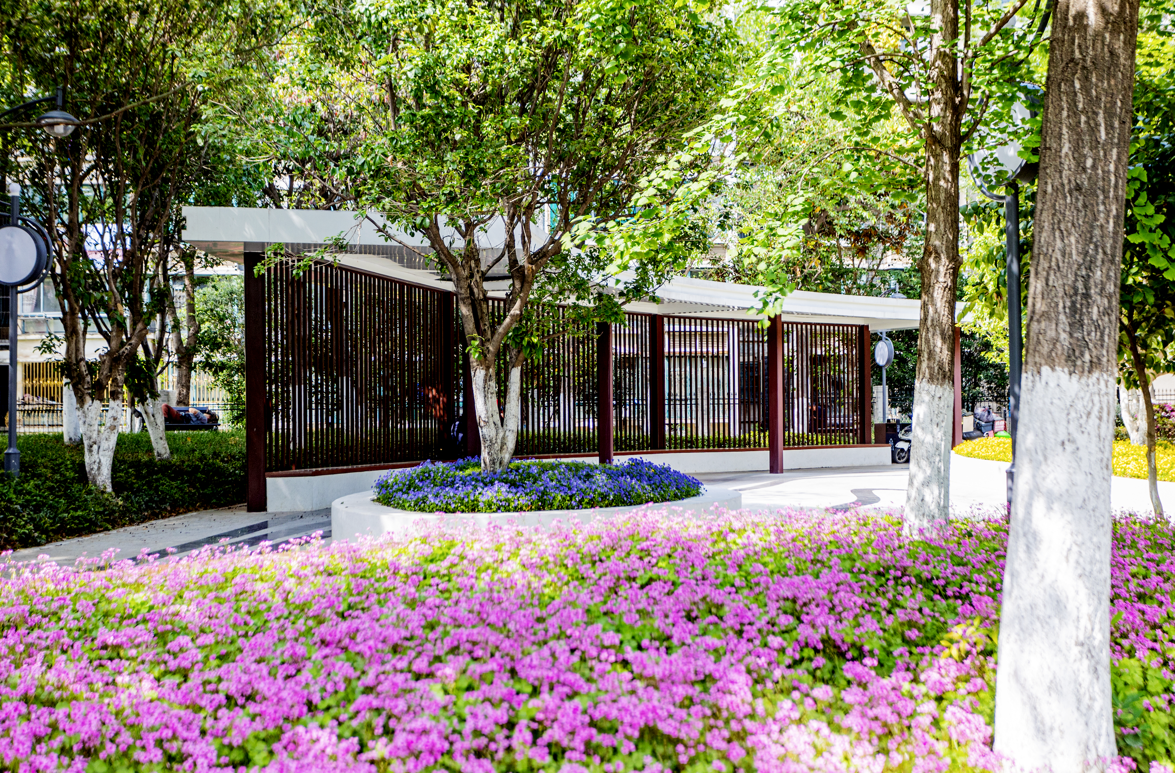 芜湖口袋公园建设进展_芜湖蕪小園口袋公园_芜湖市鸠江区规划图