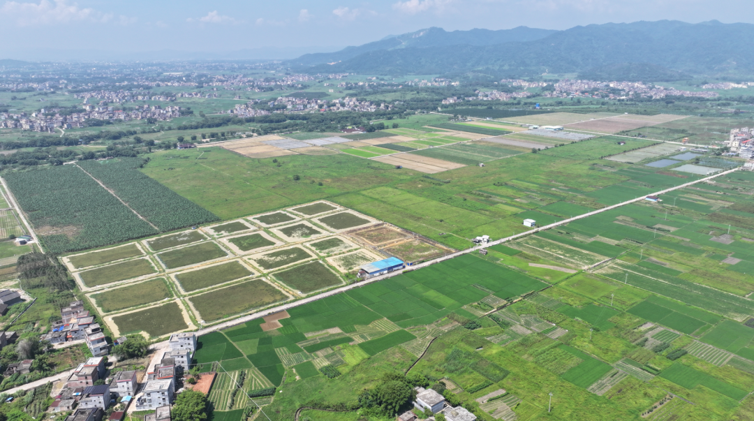 冷坑镇全域土地综合整治_怀集冷坑新闻?_怀集县现代农业产业园