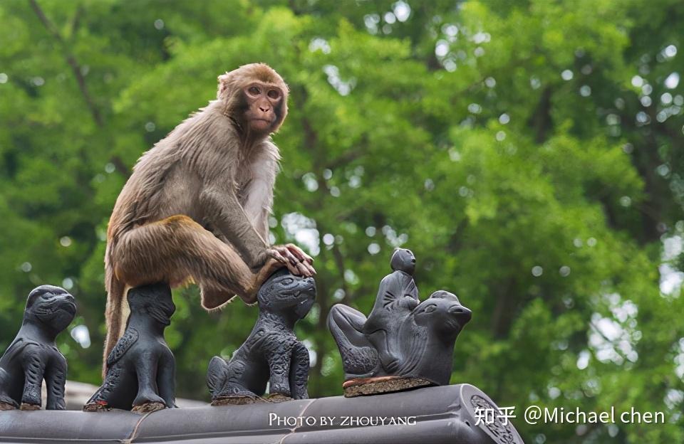 连岛渔湾风景区_连云港 新闻_连云港旅游攻略