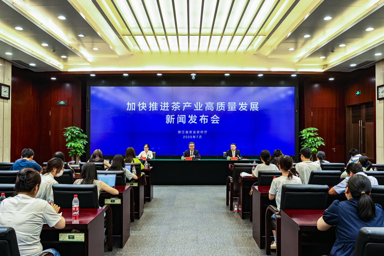 如何加快推进浙江茶产业高质量发展?这场发布会给出了答案 如何加快推进浙江茶产业高质量发展?这场发布会给出了答案